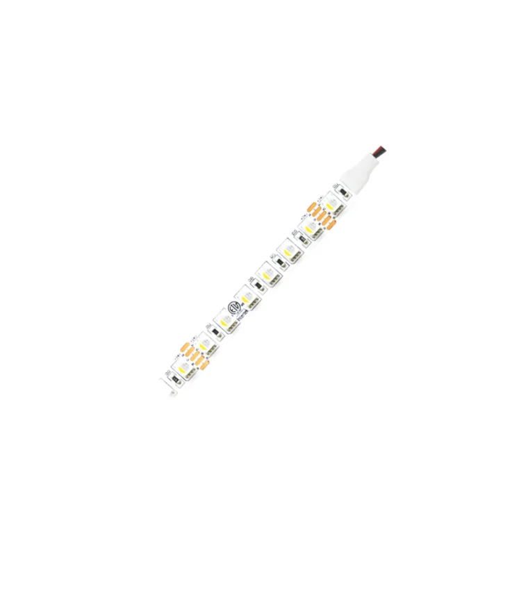 LW-303-5050-60LED/12V-DC-RGB-WW